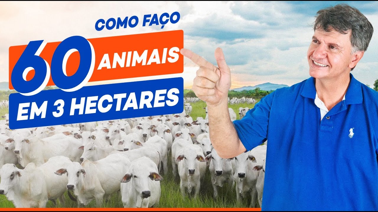 VEJA COMO EU FAÇO PARA TER ALTA PRODUTIVIDADE.