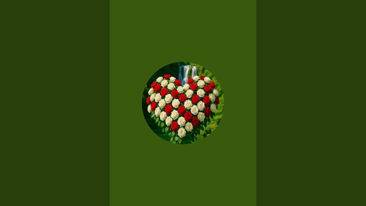 يوميات ام  نور  est en direct !