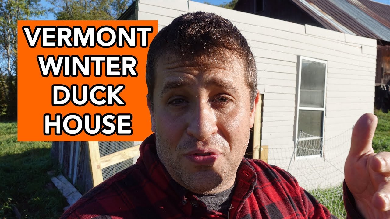 Winter Duck House Design