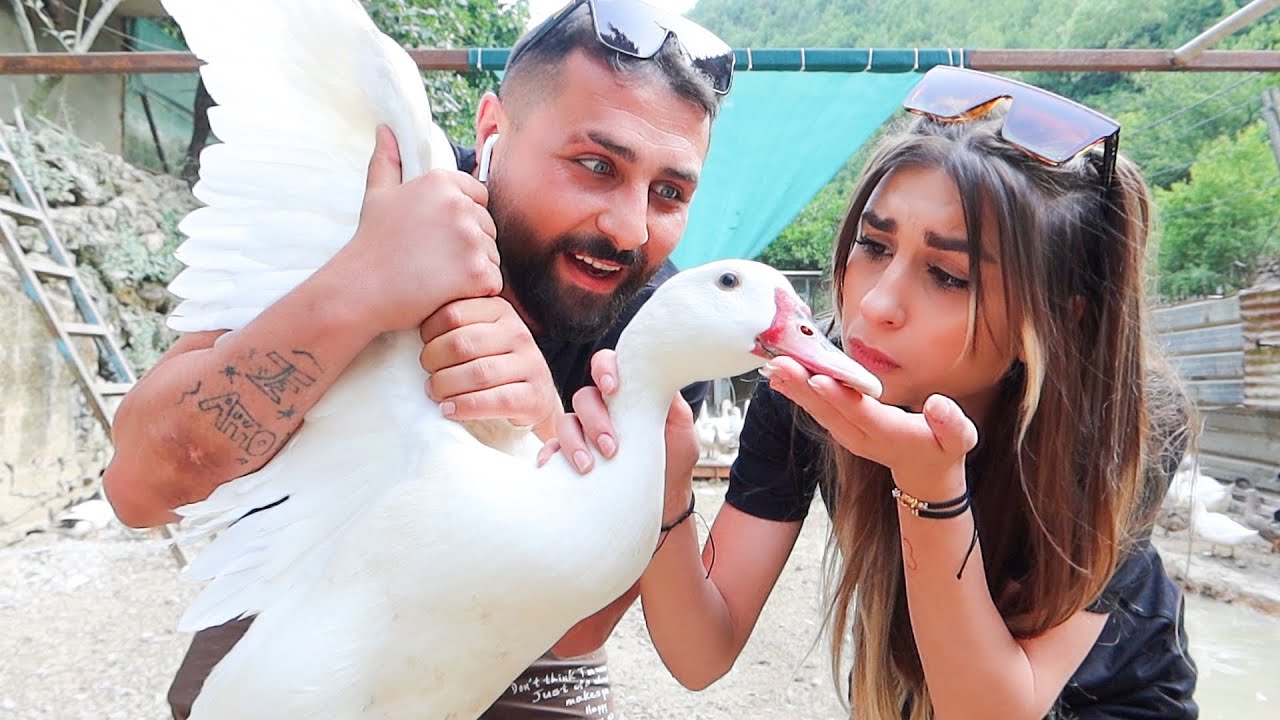 جبنا أكبر بطة وشويناها في المنزل😢 هجمت البطة على ننوش😱 صارت تبكي😭