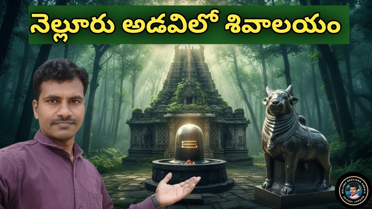 Adavilo Sivalayam in Nellore|నెల్లూరు అడవిలో శివాలయం దర్శించుకున్నారా |Nellore Nerajana Andalu |
