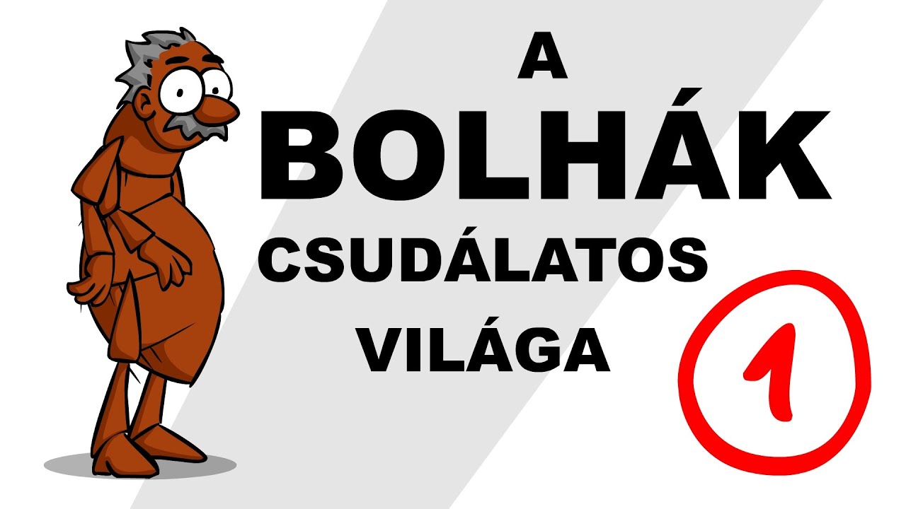 A bolhák csudálatos világa - csak egyszerűen (1. rész)