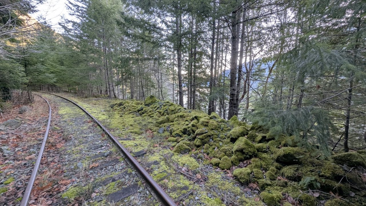 A Broom Jungle: E&N Railway - Alberni Summit to Cameron Lake: Episode 5