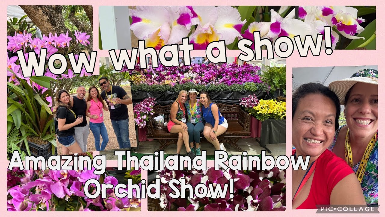 Orchid Show! Amazing Thailand Rainbow! Extended Episode! Bloom Extravaganza!