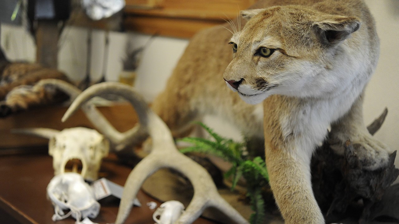 The South Slough National Estuarine Research Reserve