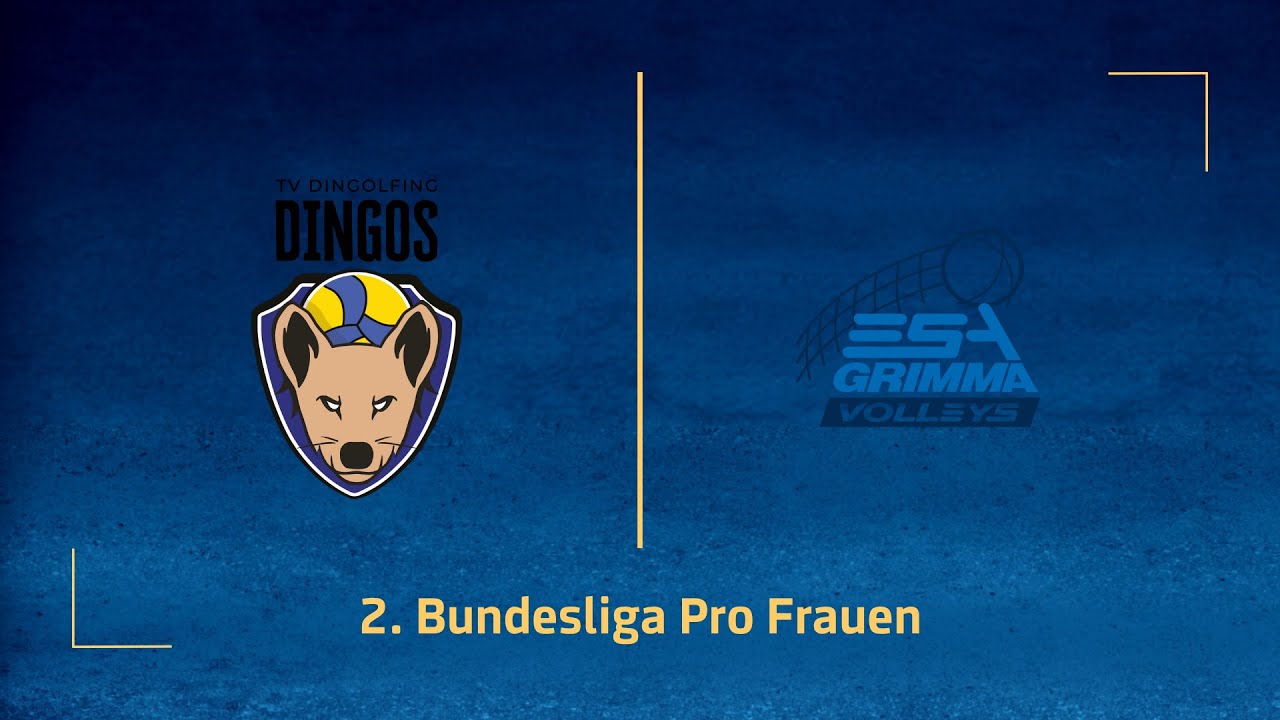 TV Dingolfing – ESA Grimma Volleys (2. Volleyball Bundesliga Pro F 25/26)