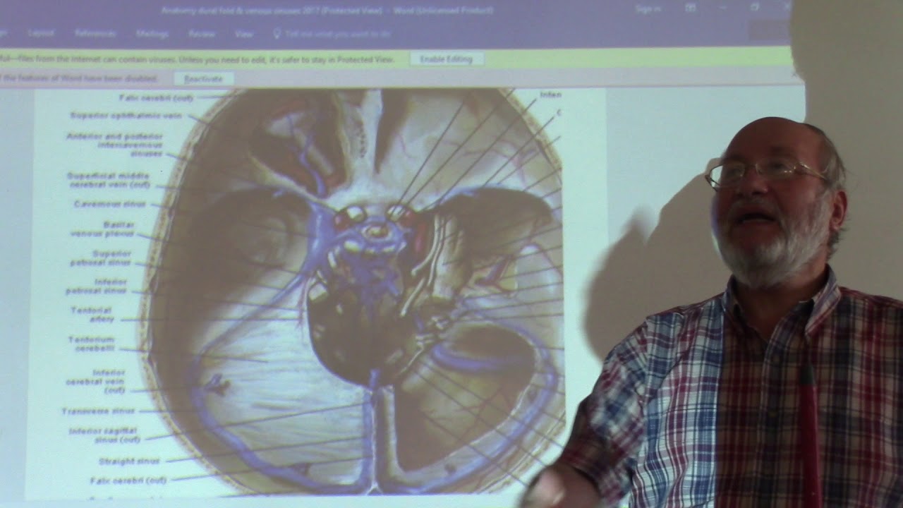 Neuroanatomy 103 ( Dural folds & dural venous sinuses , part 4 ) , by Dr. Wahdan