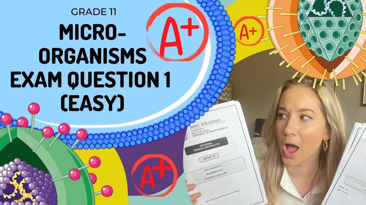 GET an A+ in EXAMS!! | MICROORGANISMS AND IMMUNITY Q1- EASY