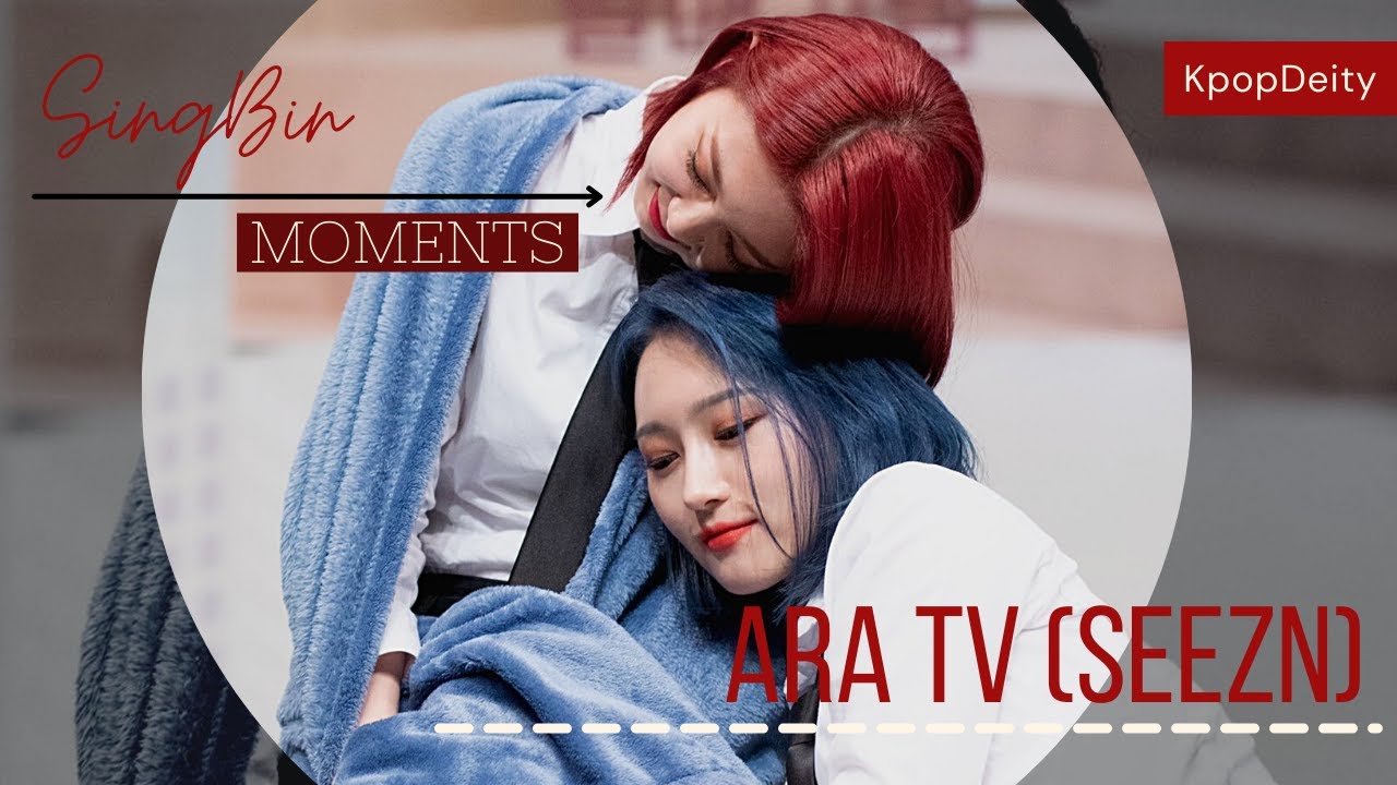Singbin 🐺🐼 ➤ during ARA TV (Seezn) ◍ Dreamcatcher (드림캐쳐) 싱빈💙💜