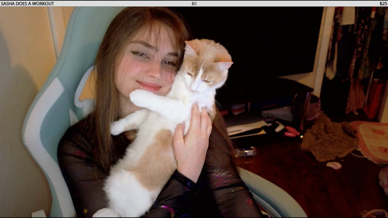 A CUTE CAT