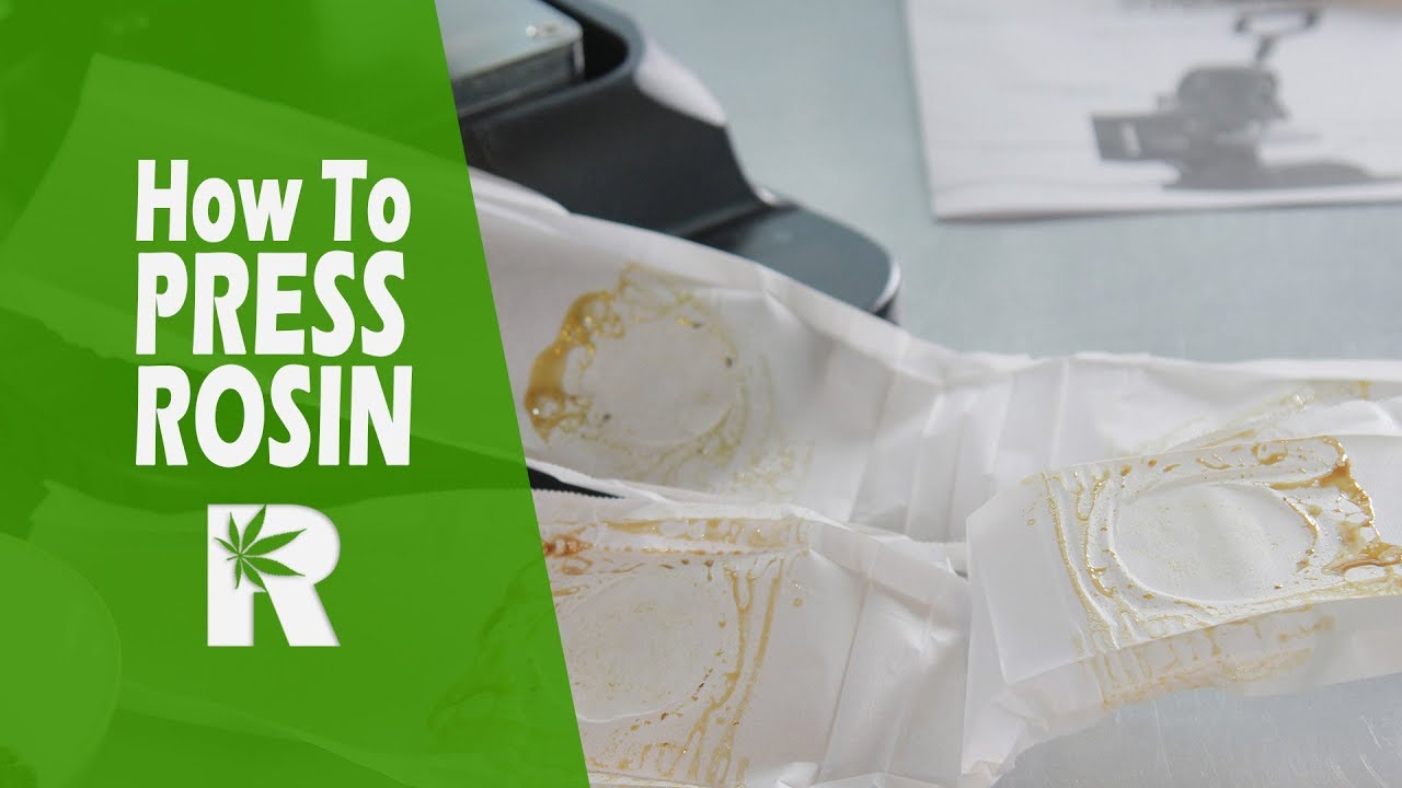 How To Press Rosin from Cannabis Flowers (Wax The Safe & Healthy Way): Cannabasics #73