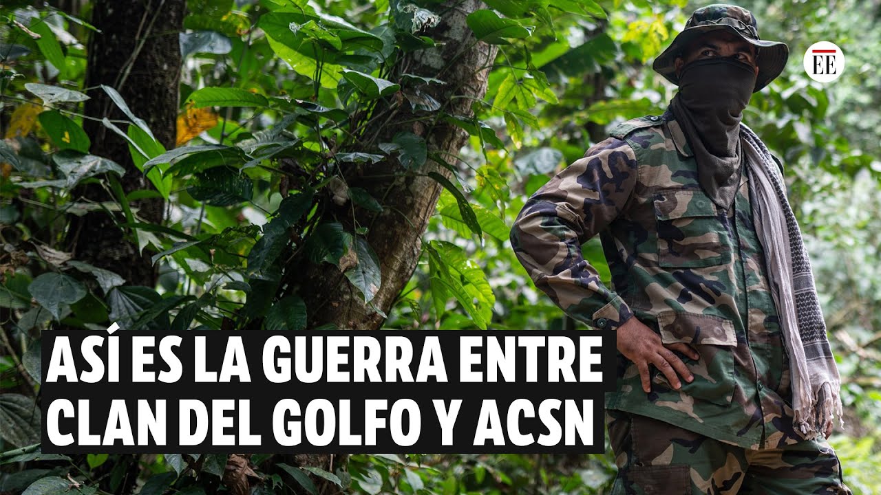 Jefe de Autodefensas de la Sierra habla de la guerra con Clan del Golfo | El Espectador