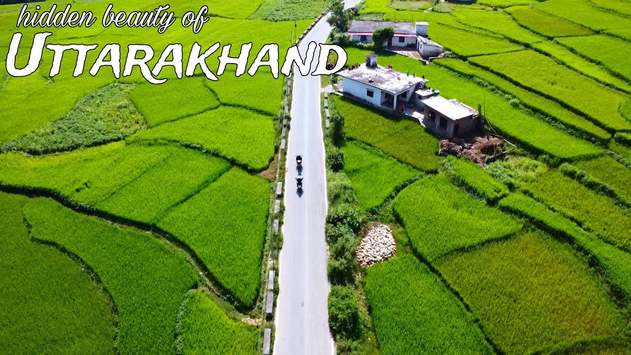 This Place is Hidden Treasure of Uttarakhand 😍 | One Wrong Turn and We Reached Heaven |Thal-Nainital