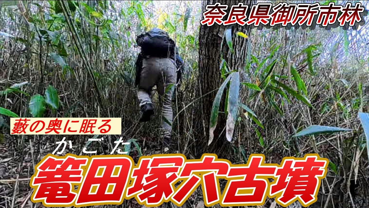 【藪の奥に眠る“難関古墳”】「篭田塚古墳」奈良県御所市