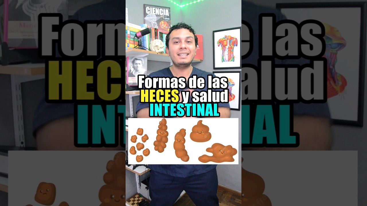 forma de las heces y salud intestinal