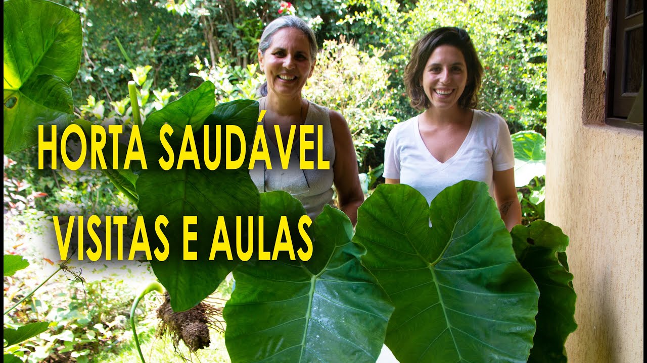 Horta Saudável em Casa Vídeo Completo