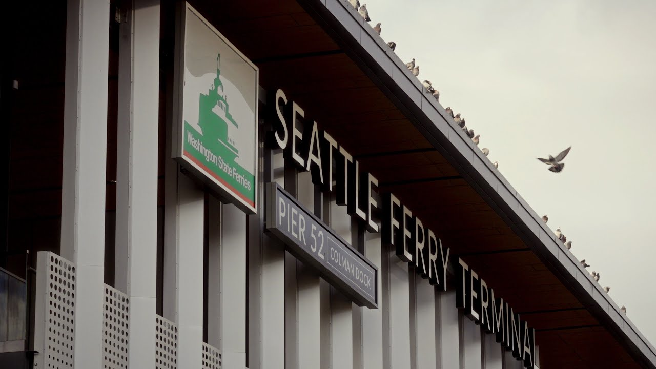 Seattle Birds | Sony a6700 | 70-350mm lens | Cinematic Video 4K