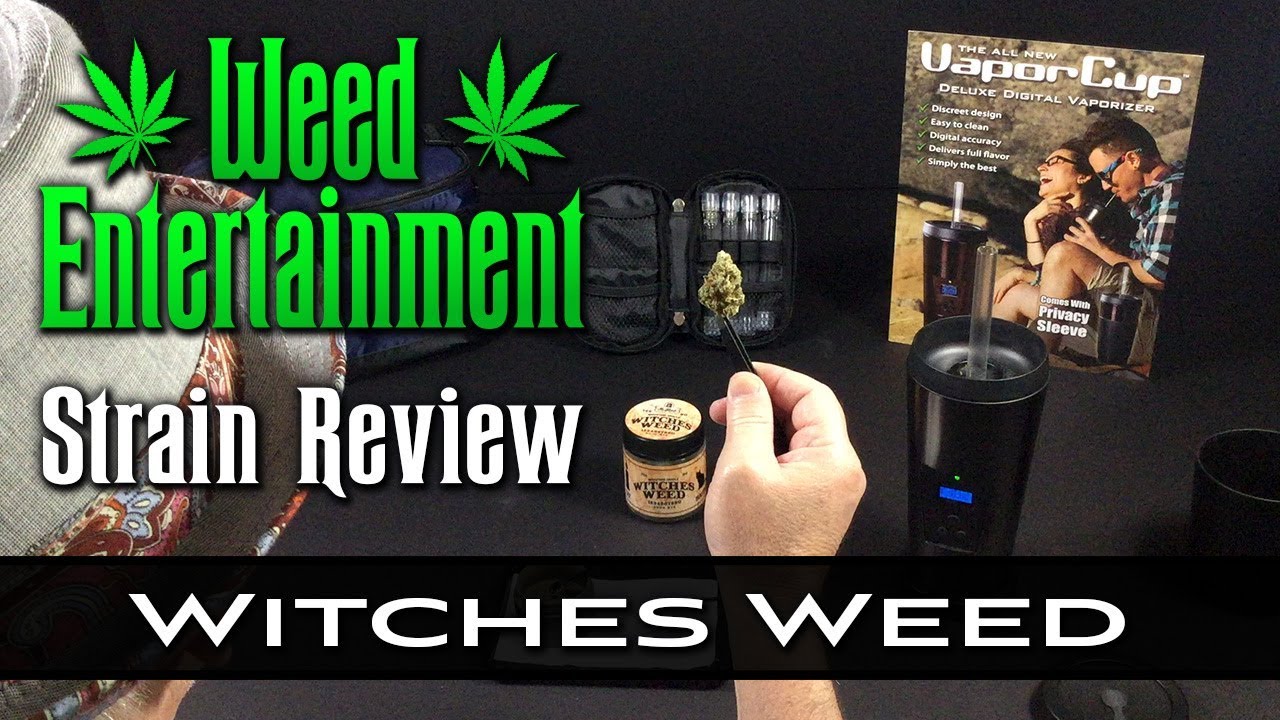 Witches Weed - Hybrid - by Ms. Gloria - Strain Review - from Dr. Greenthumb's, Sylmar Ca