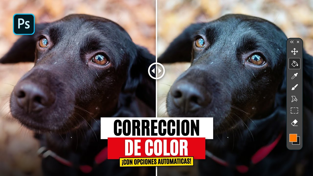 Técnica PROFESIONAL para CORRECCIÓN DE COLOR en PHOTOSHOP ¡Con un CLICK!