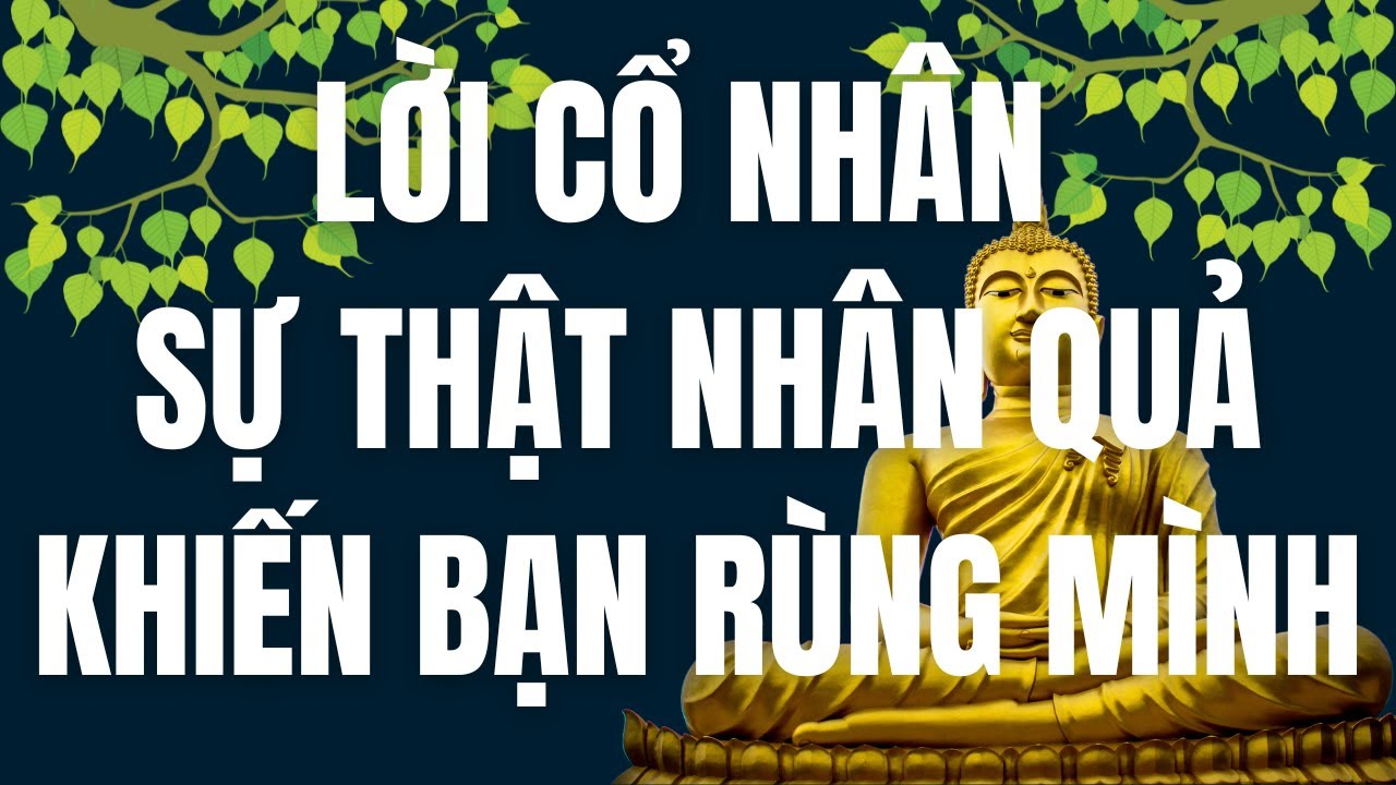 Phát Hiện Những Sự Thật Kinh Hoàng Về Nhân Quả – Không Ai Dám Nói!