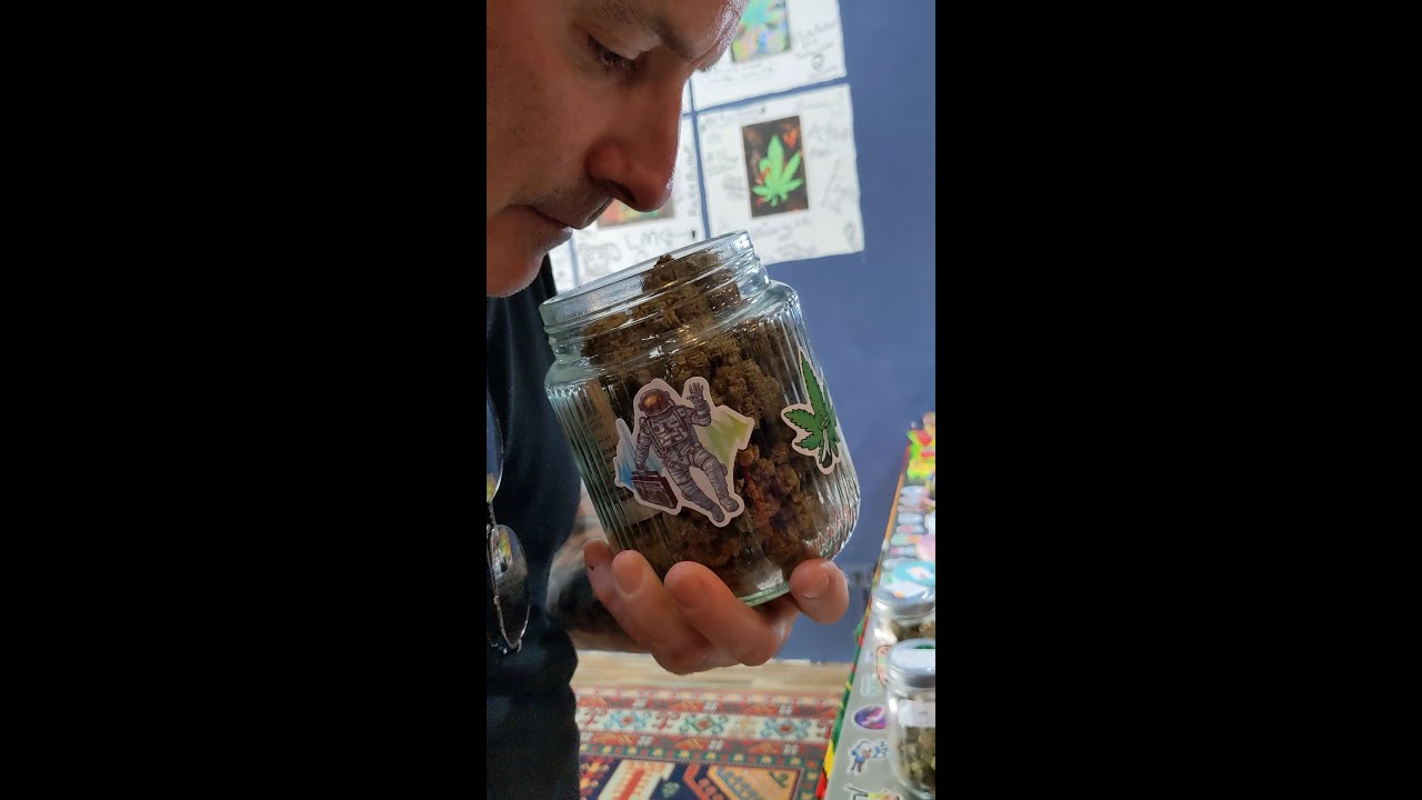 Buying Legal Weed In Thailand At Fat Buds Weed Shop | #shorts