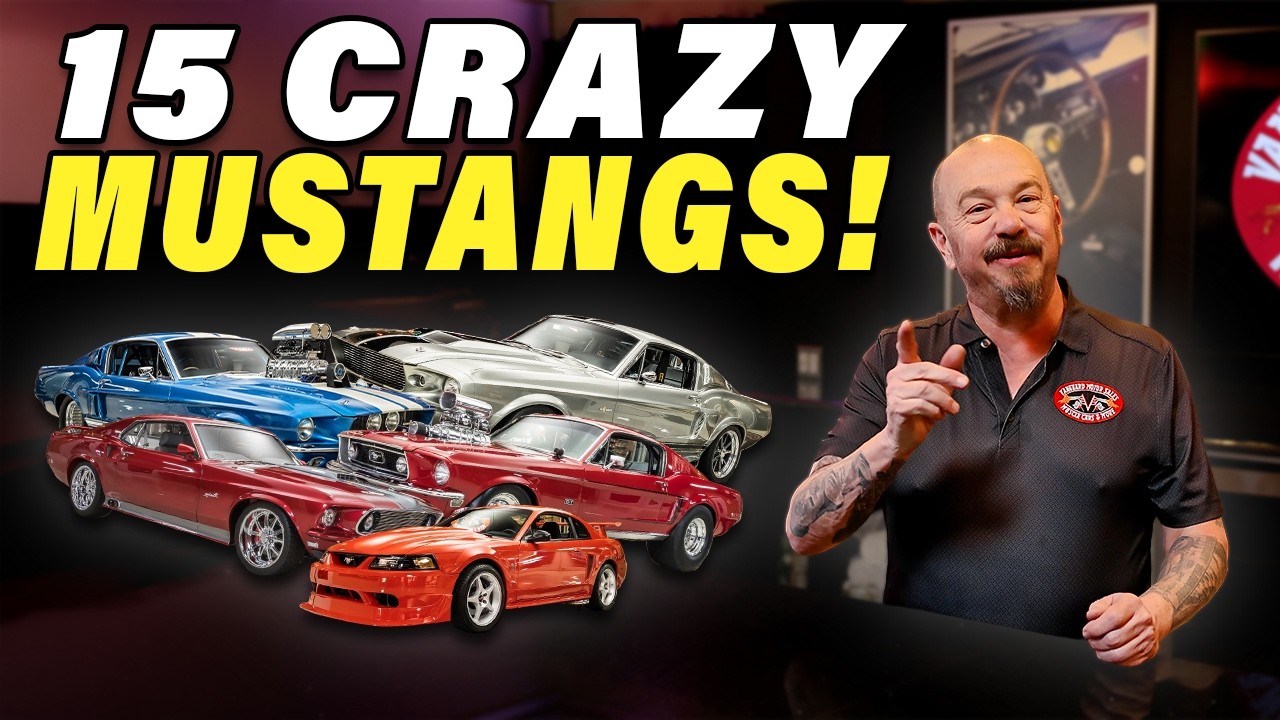 15 Of Our Craziest Mustangs!