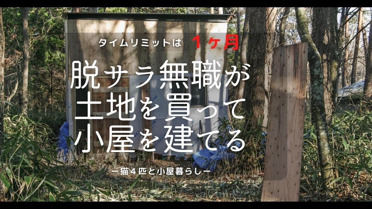 無職になった僕が土地を買って小屋を建て猫４匹と移住するまでの１か月［vol.20］