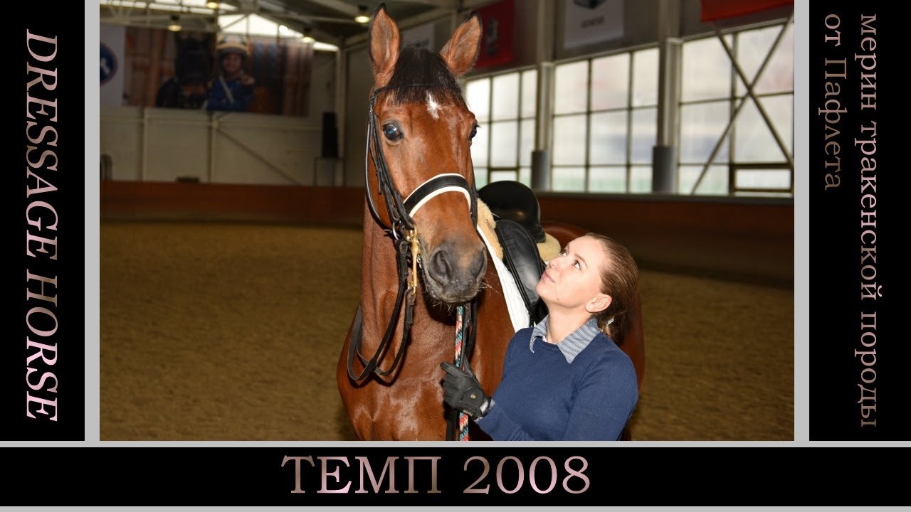 Темп 2008 (версия 4)