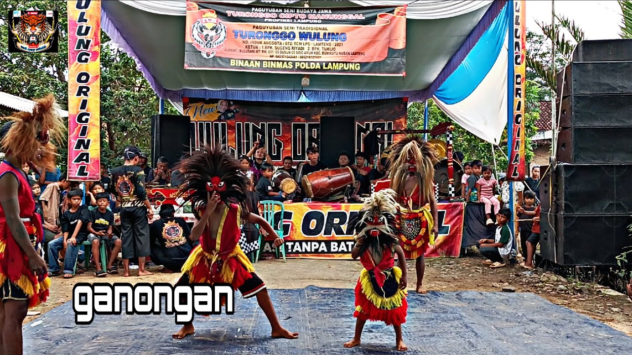 Ganongan di jaranan Turonggo Wulung original Bulusari live Sumberagung gunung sugih baru Tegineneng 