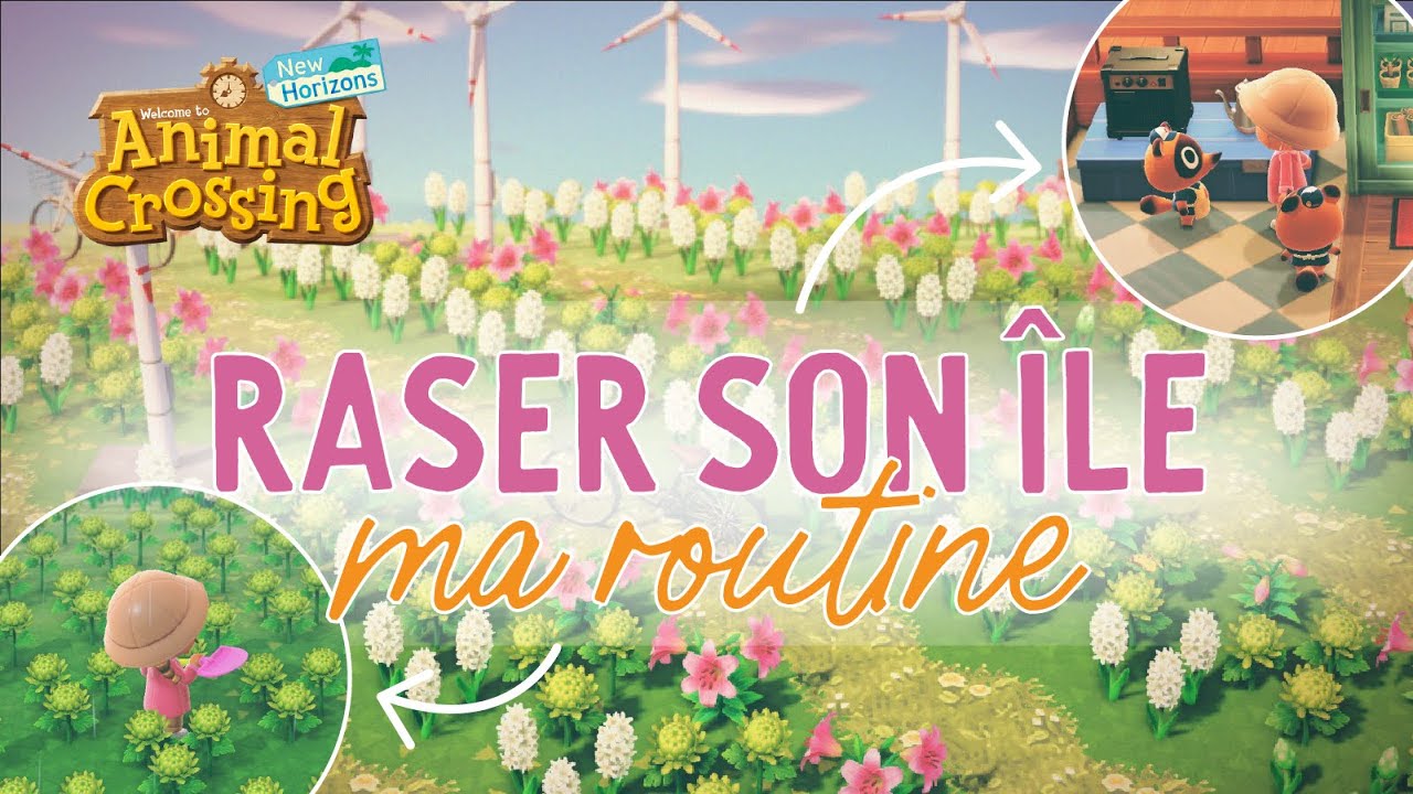 Ma ROUTINE quand JE RASE une île - Animal Crossing New Horizon