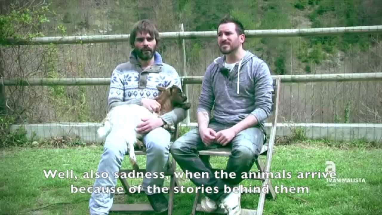 Documentary Gaia: Stories of a Sanctuary