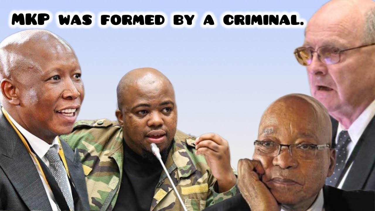 Nomvalo and Malema clashes with O’Sullivan | Zuma, He is a criminal