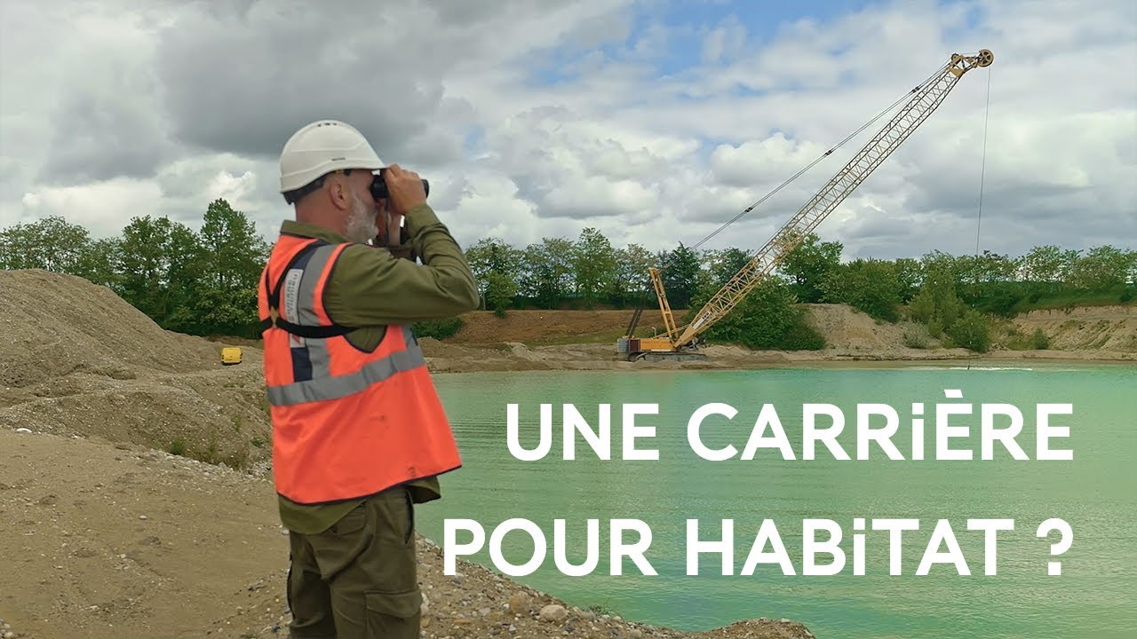 La carrière de Saint-Romain-de-Jalionas : un exemple de restauration écologique
