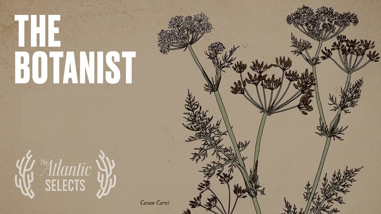 The Ingenious Botanist in the Mountains of Tajikistan
