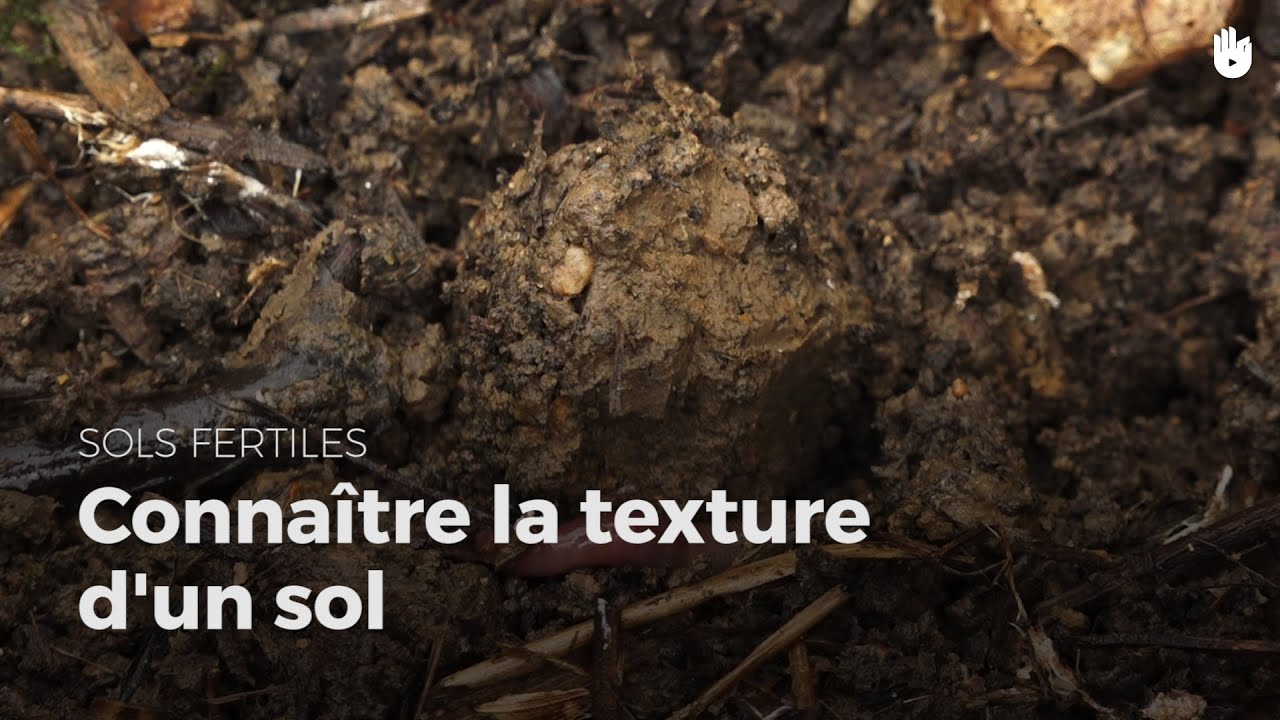 Connaître la texture d'un sol : test du bocal