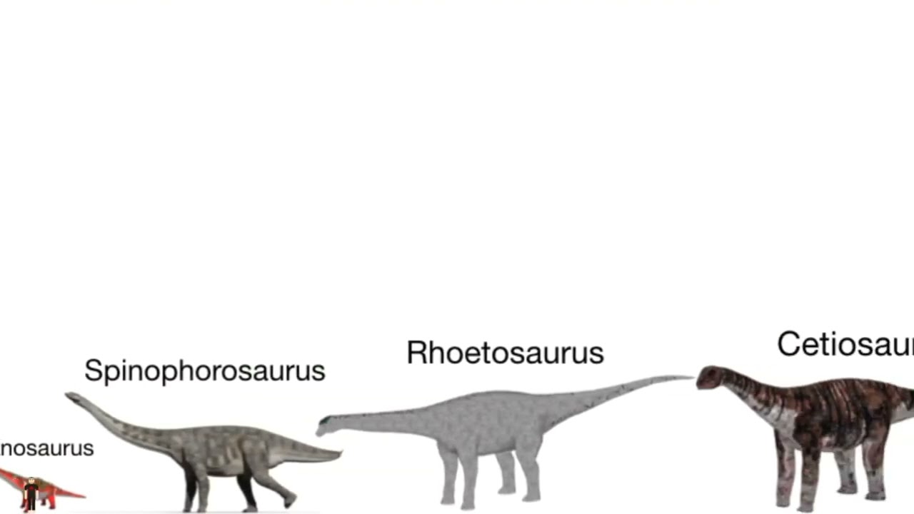 Sauropods Size Comparison
