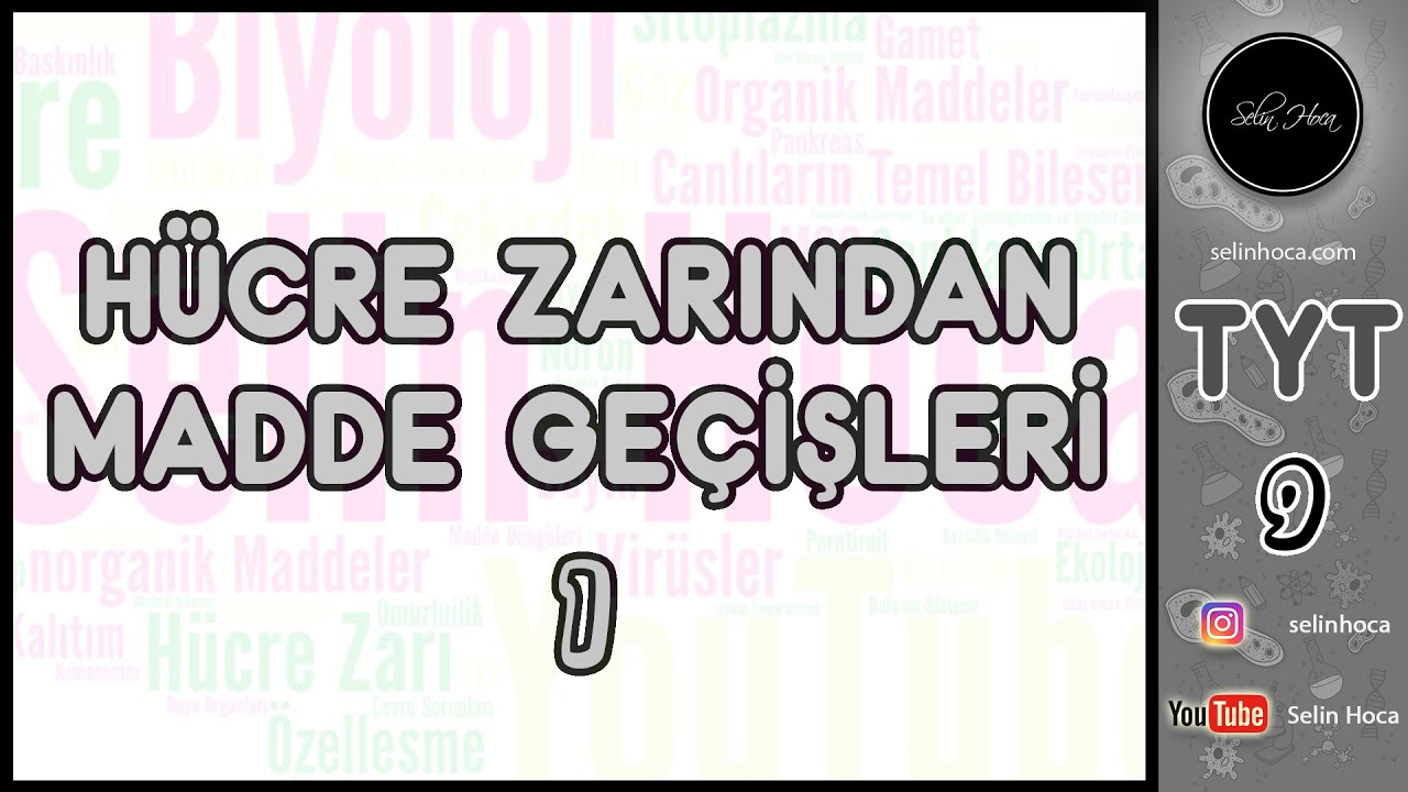 13) Hücre Zarından Madde Geçişleri 1
