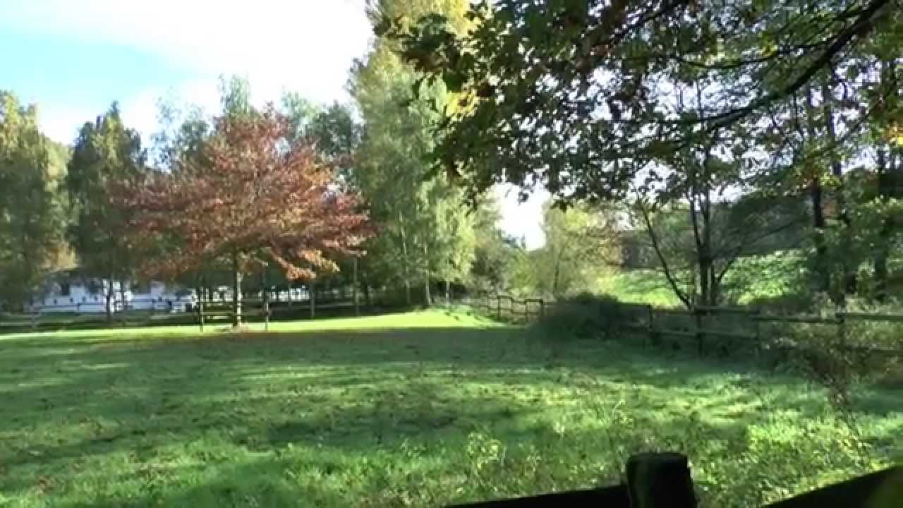 Broichbach Von der Quelle bis zur Mündung Teil 2
