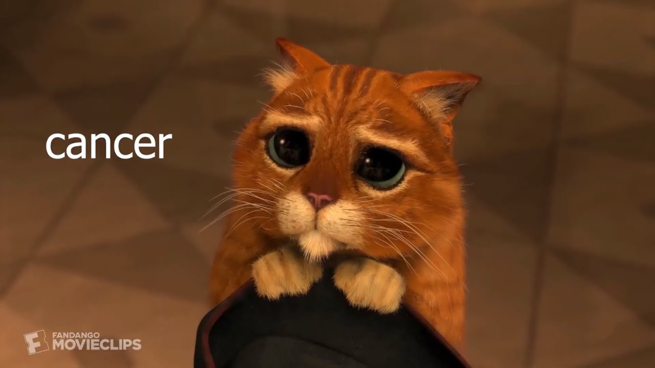 Animation Movies as zodiac signs