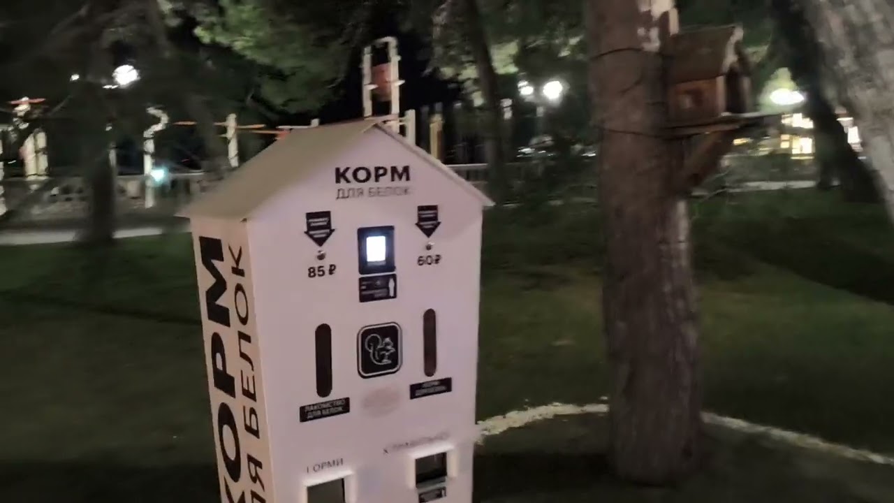 Геленджик. Вечерняя прогулка от Невесточки до санатория им. Ломоносова. 1.03.2025