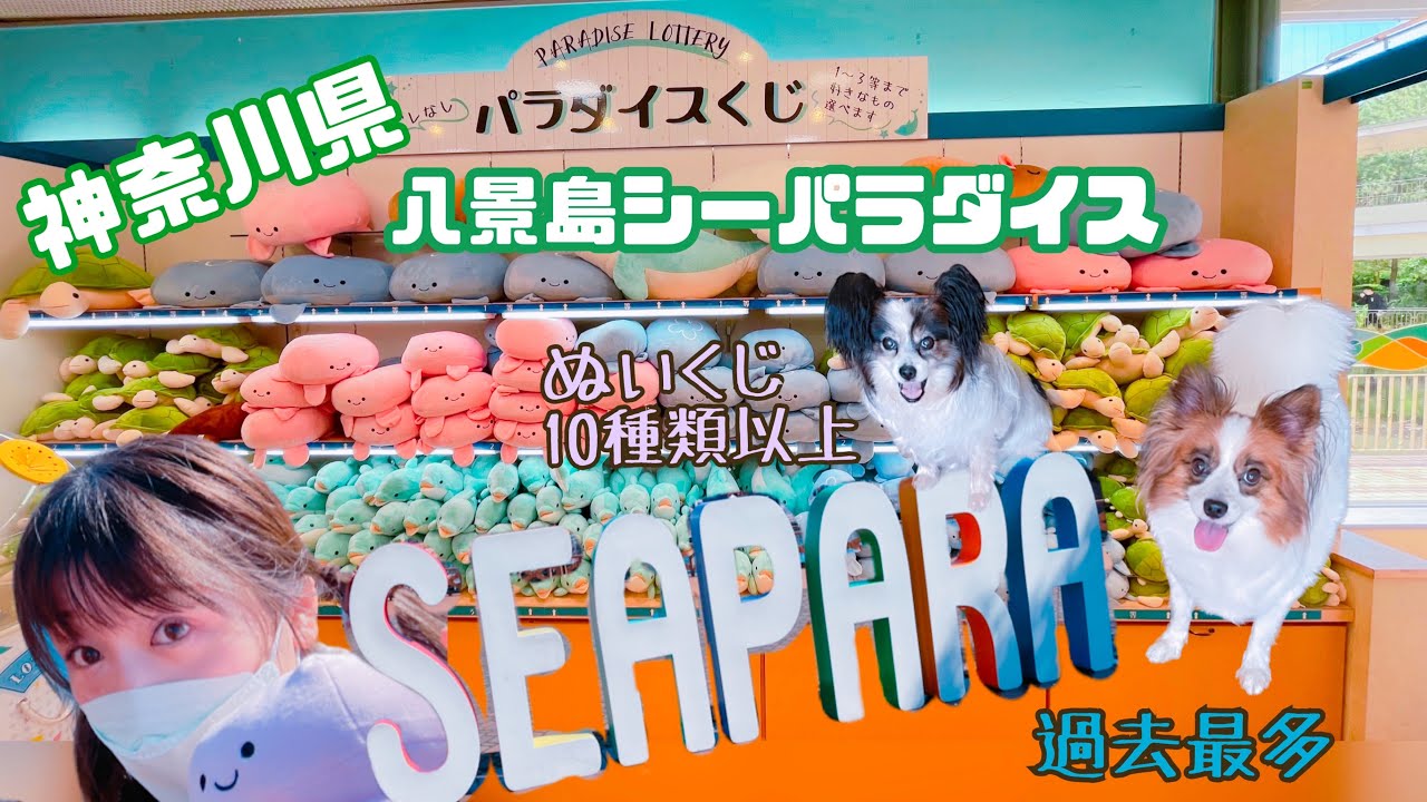 【ぬいぐるみくじの旅】★神奈川県★八景島シーパラダイス