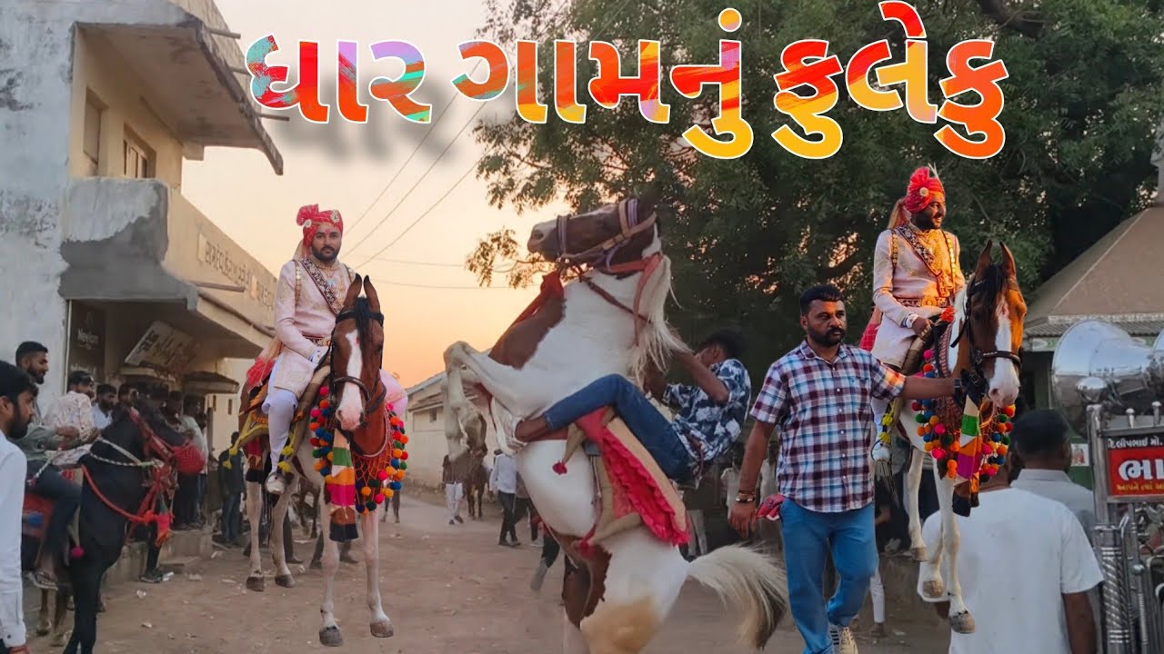 કાઠીયાવાડ નું ધાર ગામનું રજવાડી ફુલેકુ કાઠી દરબાર ની મહેમાન ગતિ  The Royal Heritage of Katthiyawad