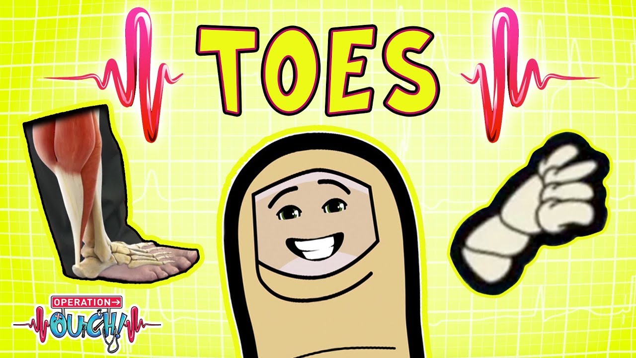 Operation Ouch - Tending to the Toes | Skeletal System