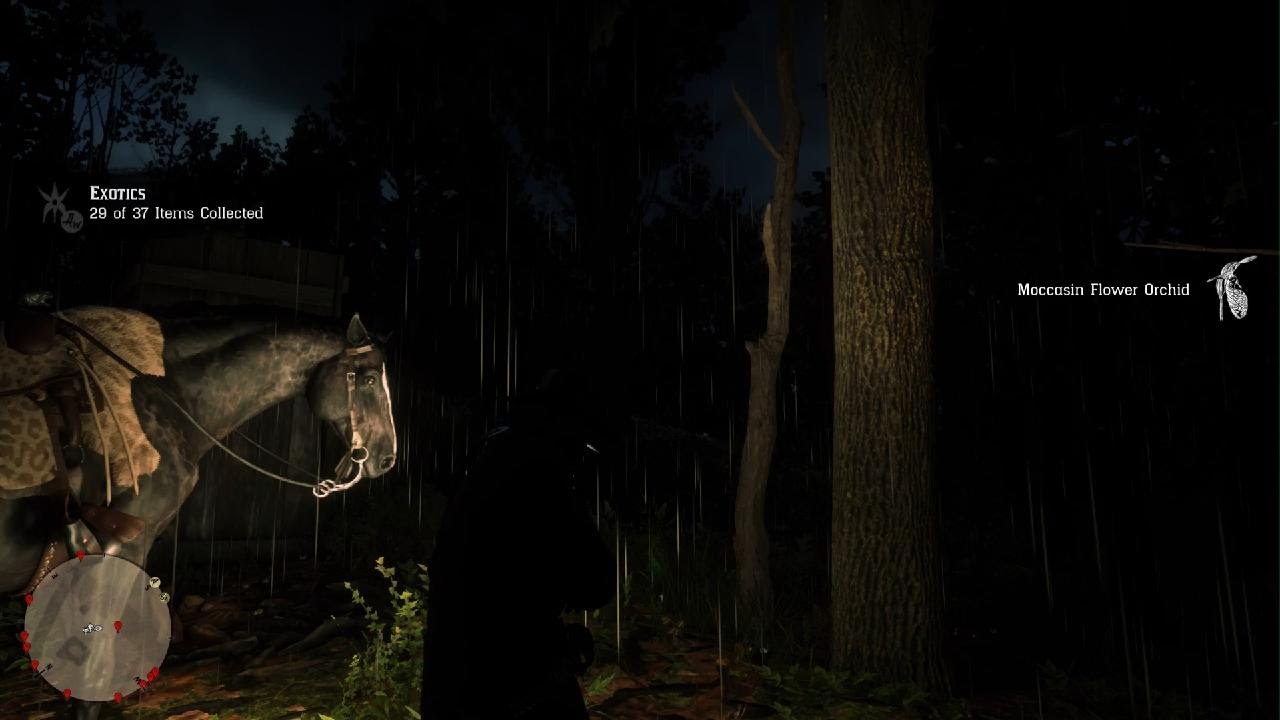 Red Dead Redemption 2 Chapter 4 Part 76 Moccasin Flower Orchid