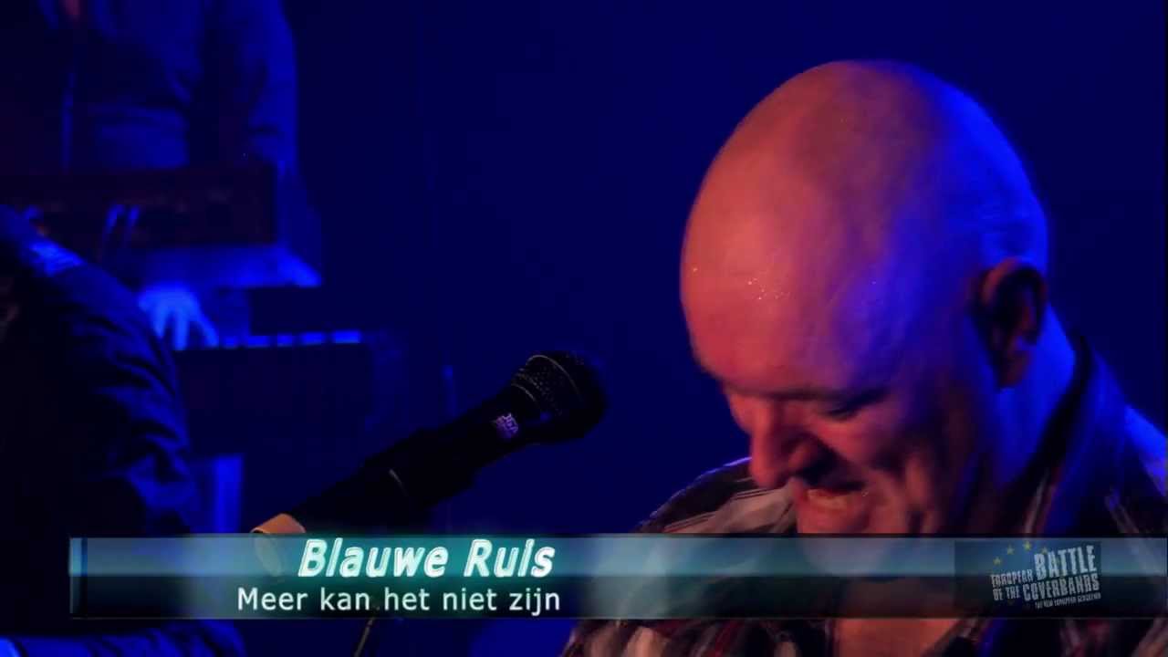 Blauwe ruis - Meer kan het niet zijn