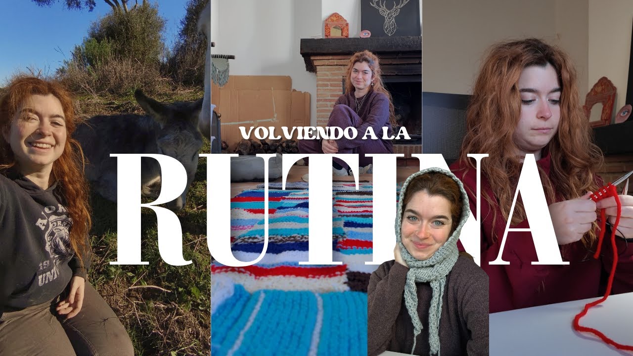 Volvemos a la rutina | Caballos y crochet