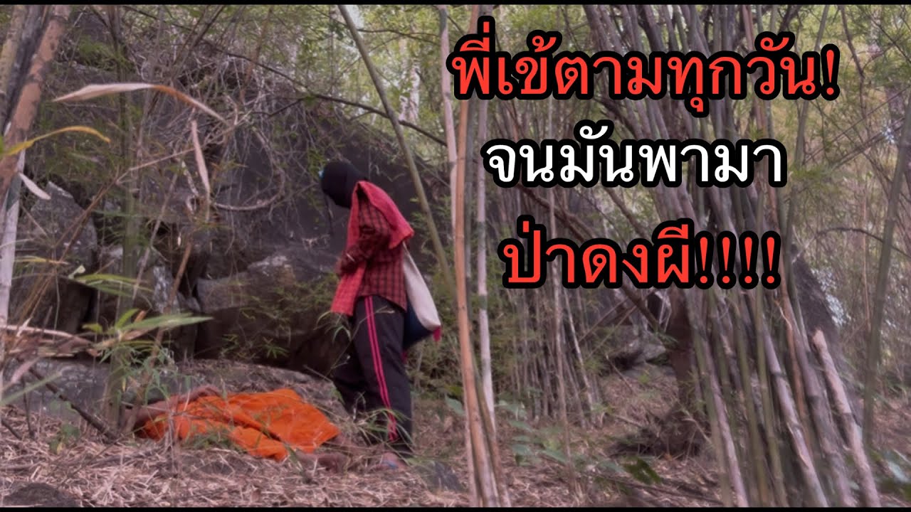 ไอปอบตัวนี้ไม่ธรรมดา! พี่เข้ตามล่ามันทุกวัน! จนมันพาเข้าป่าดงผี!!!