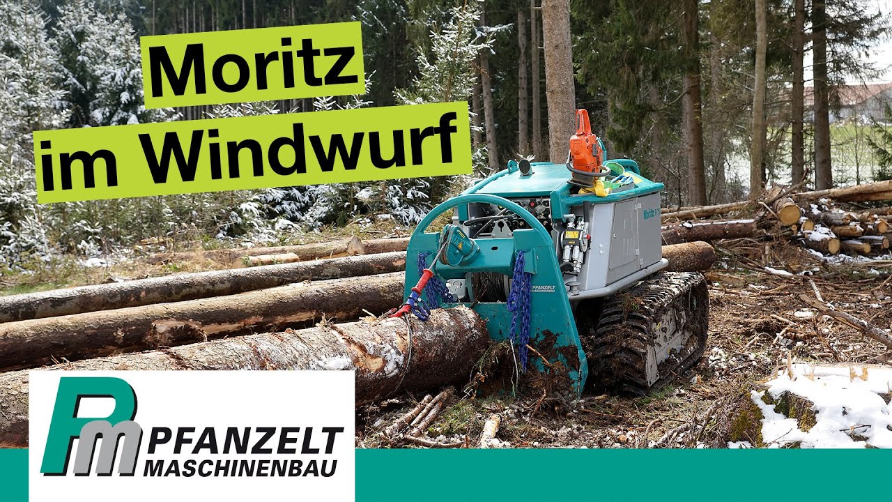 2x Moritz im Rückeinsatz | Windwurf vorliefern mit der Rückeraupe Moritz Fr75 und Fr50