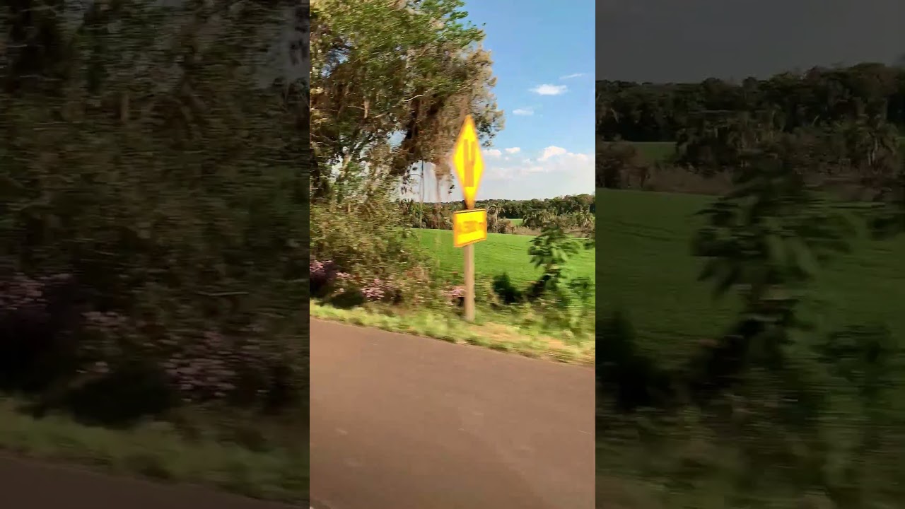 Linda paisagem entre Xanxer&ecirc; SC e Lages SC em 4K