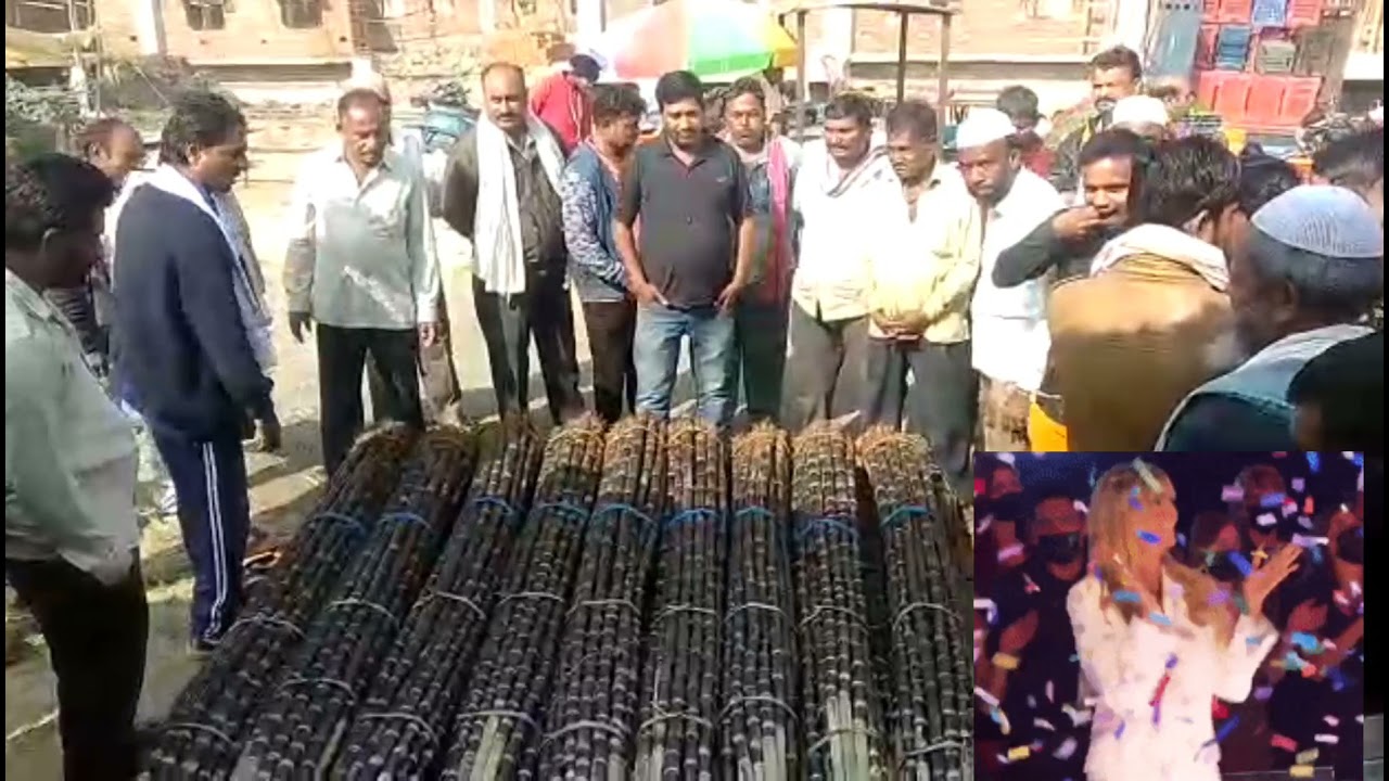 मंडी में घन्ने कैसे बिकतते हैं    गन्ने की बिक्री मंडी मे ऐसी होती है